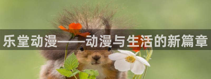 58动漫网免费：乐堂动漫——动漫与生活的新篇章