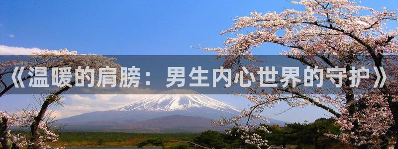 58动漫网站官网免费下载：《温暖的肩膀：男生内心世界的守护》