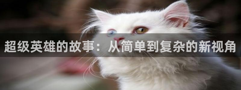 58动漫h：超级英雄的故事：从简单到复杂的新视角